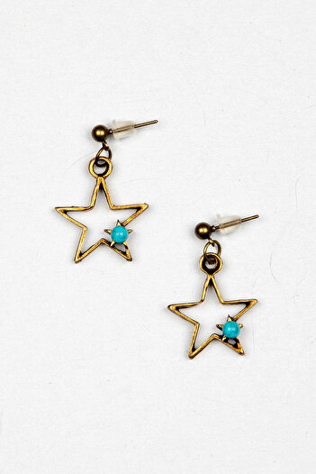 Lila Rosa Star Figured Ethnic Authentic Earrings
