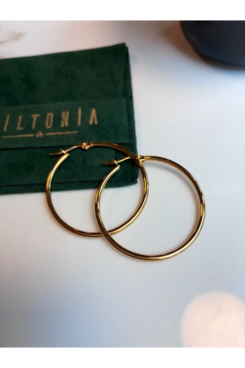 Miltonia Hoop Steel Earrings