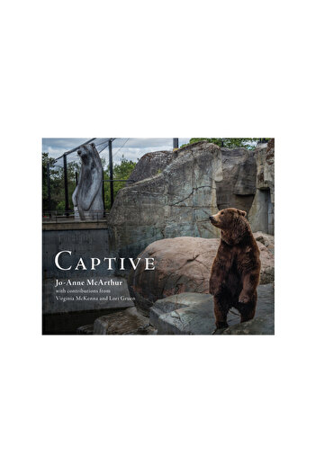 Lantern Books Captive