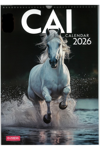 Global Horse Calendar 2026, A3 format, 8 sheets - O-Press