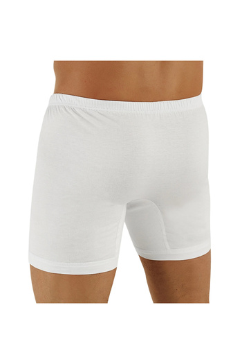 Şahinler Şahinler Me007 Men's Large Size Long Briefs