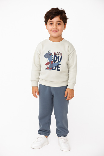 mb kids Dinosaur Print Hooded Fleece Lined 3 Thread Boys' Tracksuit Set