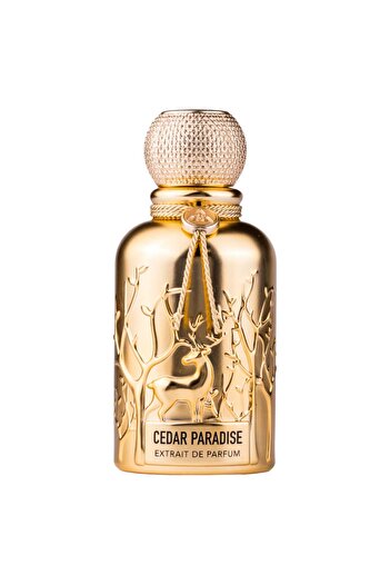Auraa Desire Cedar Paradise, Perfume Extract For Men, 100ml