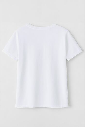 MARKAPIA Men's 100% Cotton Crew Neck Motor Printed T-Shirt