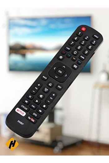Generic EN2B27 Remote Control Replacement For Hisense TVs Black