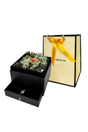 velve Box of Bell cryogenic roses, on a bed of lichens and cryogenic plants, Cream