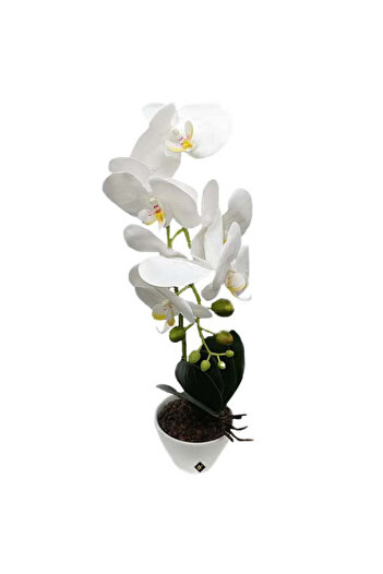 velve Orhidee alba cu aspect in ghiveci ceramic alb, 45 cm, Alb