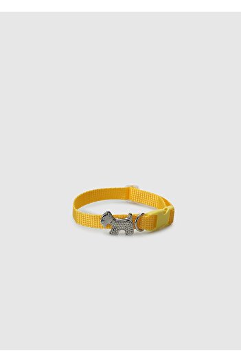Provoq Yellow T1052 Yellow Thin-Leash Cat