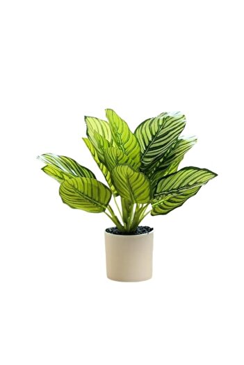 Generic Ricjurzzty Fake Plants in Pots Faux Plants Artificial Tropical Plants Indoor for Home Office Desk K