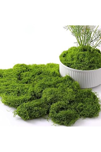 Generic Fake Green Moss,100g Decorative Artificial Moss for Crafts DIY Table Centerpieces Wedding Party Dec
