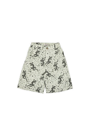 LC Waikiki Boy's Printed Shorts Green