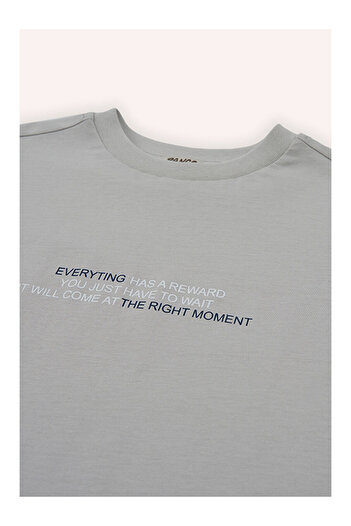LC Waikiki Boy's Printed T-Shirt Gray