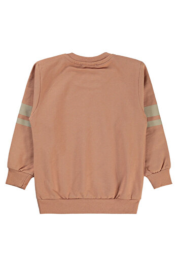 LC Waikiki Boys Sweatshirt 2-5 Years Old Tile