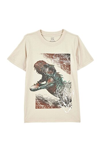 LC Waikiki Boy's T-shirt