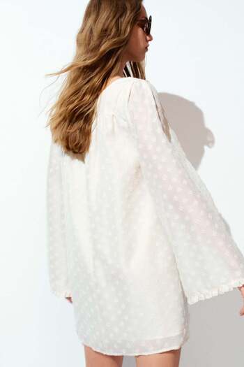 H&M Sheer plumeti dress