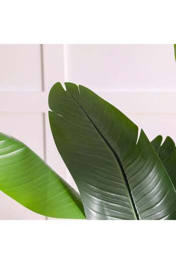 Danube Home 180 CM Artificial Banana Tree - Lifelike Green Indoor/Outdoor Plant with Base - Ideal Decor