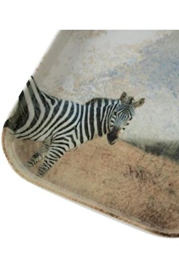 STOREMAX Goldwhirl Concept Square Plate 17Cm-Zebra Trendflash 467437