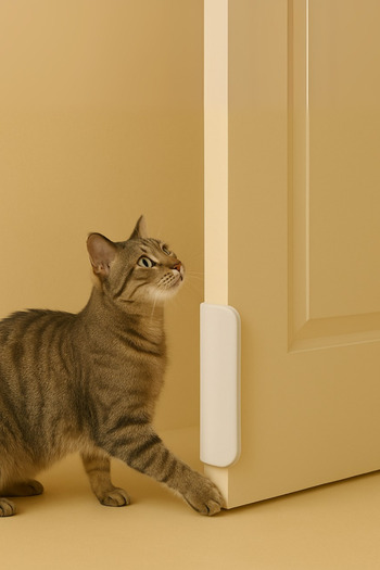 Coolizz Hep Open Cat Door Apparatus