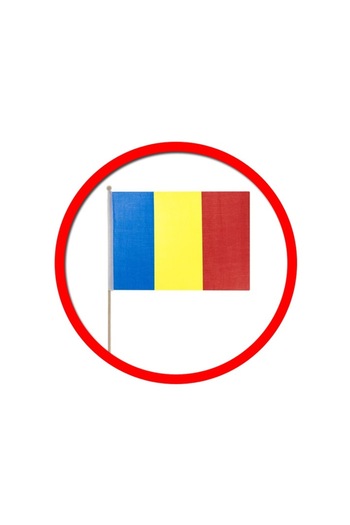OEM Romanian Flag with Wooden Handle, 29x39 cm