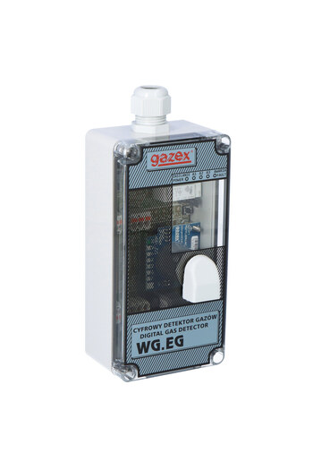Other Carbon monoxide detector WG22 230V CO 3060150ppm s15 sensor pp 230V power supply