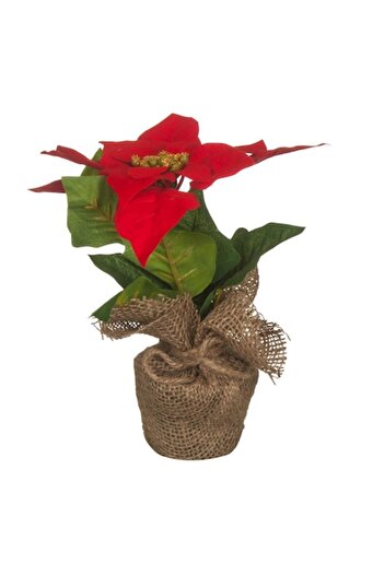 OEM Artificial poinsettia flower in pot, Marry Christmas, Red, 20 cm