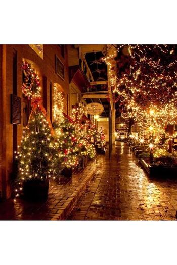 DEEBCO Promo Pack: Linear Christmas Light Installation, Outdoor/Indoor, 8 Light Games, 50 M, Warm White + L