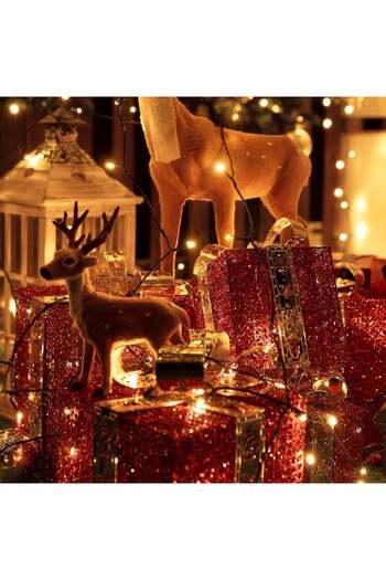 BellFyd 200 LED - Warm White Christmas Lights, Indoor Outdoor, Christmas Tree Light Installation