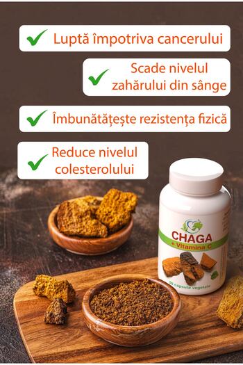 Justin pharma Chaga 450 mg with Vitamin C, 60 vegetable capsules