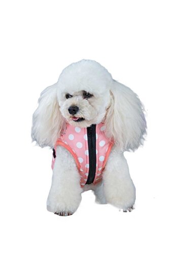 fara marca Polka dot puppy jacket