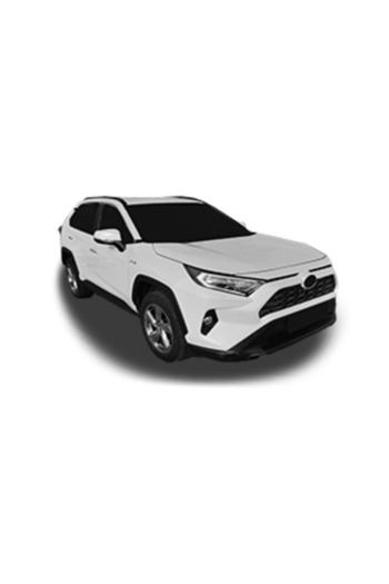 Filtron Pachet promo, set filtre de schimb, Toyota RAV 4 V (_A5_, _H5_)