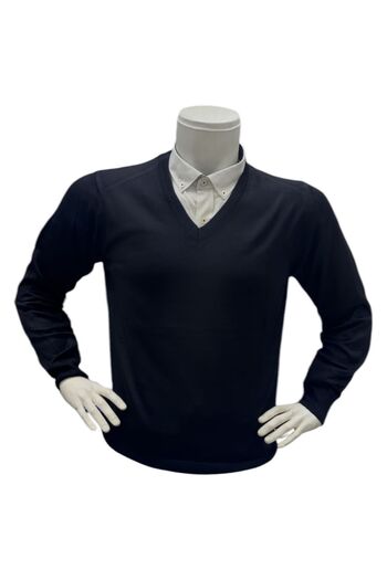 GÖMLEK GALERİSİ Men's Regular Fit Plain V-Neck Wool Knit Sweater