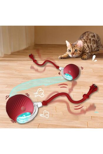OEM Interactive Rotating Toy for Cats with Rechargeable Battery