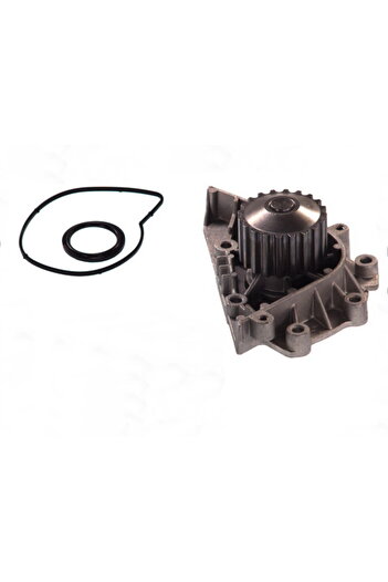 Thermotec Water pump, replacement filter set, Peugeot 307 Saloon
