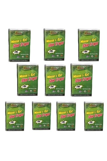 China Set 10 Adhesive Traps for Mice and Rats