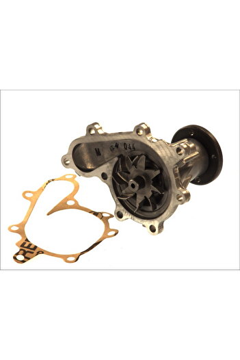 AISIN Pompa apa, set filtre de schimb, Nissan PATHFINDER III (R51)