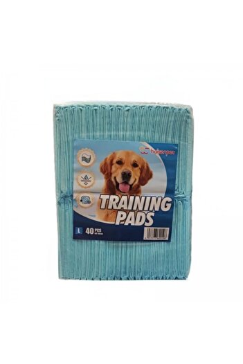 Golden cat Pet Training Pads Super Absorbent Dog Pads Anti Slip Toilet Pee Mat (40 PACK-60 X 60CM)