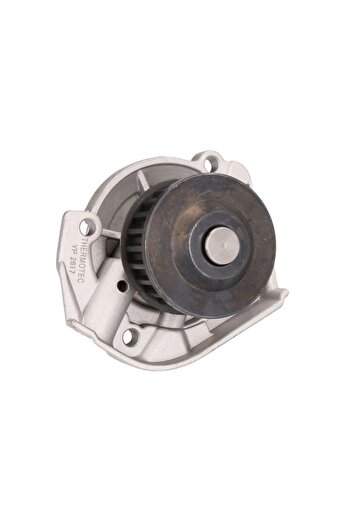 Thermotec What kind of pump, Fiat Punto?