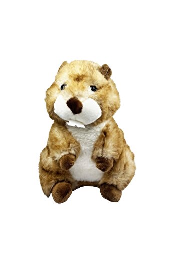 Vardem Plush 23 cm Sitting Squirrel Custom Made Washable Plush