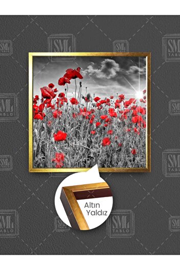 SML TABLO Câmp de flori de papaver alb-negru la apus de soare, peisaj natural, pictură pătrată pe pânză înrămată