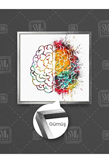 SML TABLO Pictură pe pânză pătrată înrămată, colorată, pentru neurologie a creierului drept și stâng, decor pentru sala de examinare a neurologului