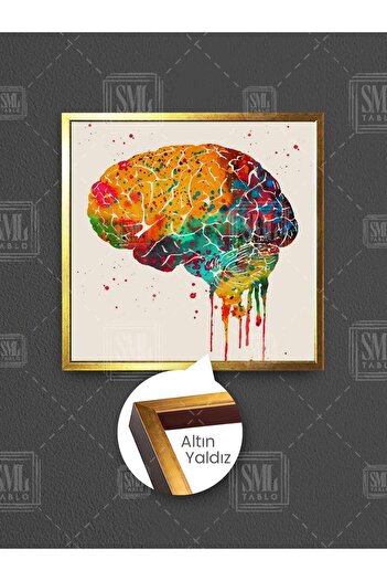 SML TABLO Ilustrație colorată a creierului Neurologie Neurolog Sala de examinare Decor Pictură pătrată pe pânză înrămată