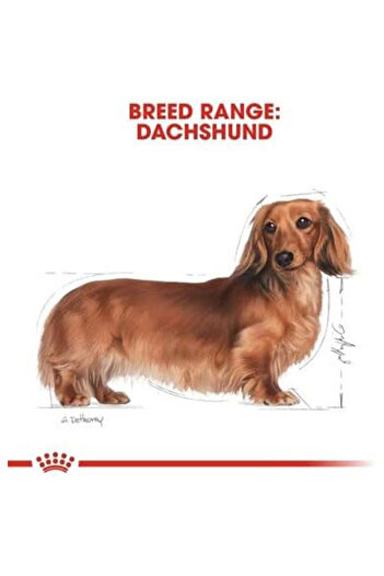 Royal Canin Dachshund Adult Dry Dog Food - 1.5KG