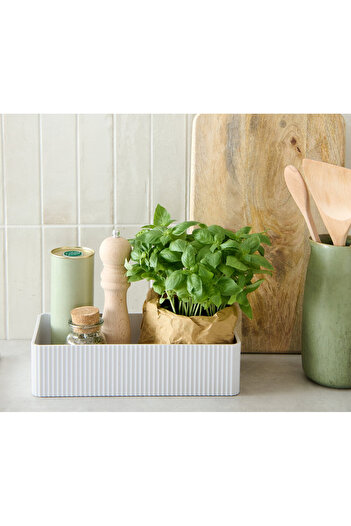 Tchibo Spice Storage Box