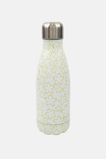 iBiLi Stainless Steel Double Wall Water Bottle 350 ml, Multicolor