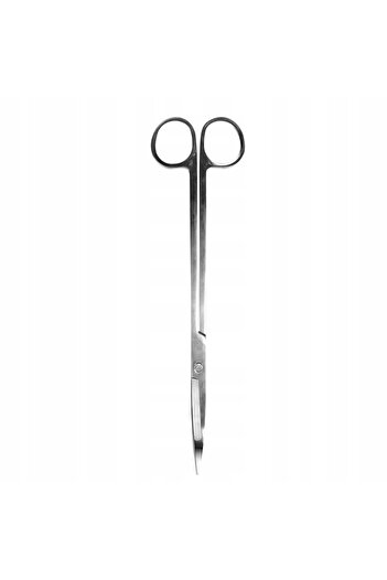 Other Long leaf scissors for plants in glass