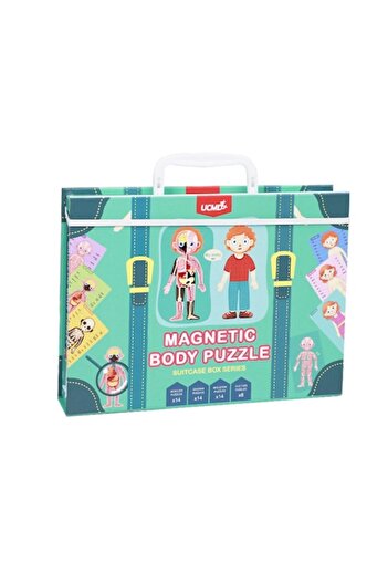 OEM Magnetic Game, Life Cycle, Multicolor