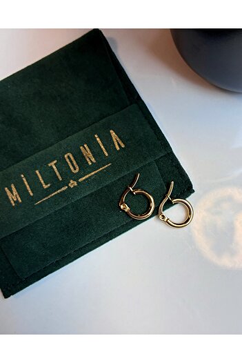 Miltonia Hoop Steel Earrings