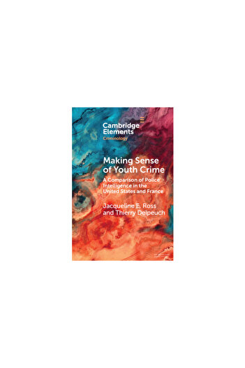 Cambridge Making Sense of Youth Crime: A Comparison of Police Intelligence in the United States and France