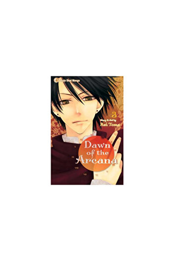 Viz LLC Dawn of the Arcana, Volume 3