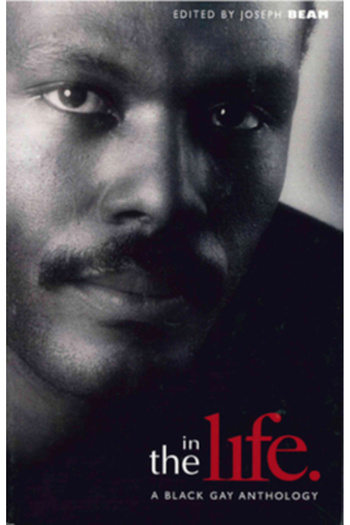 Redbone Pr In the Life: A Black Gay Anthology